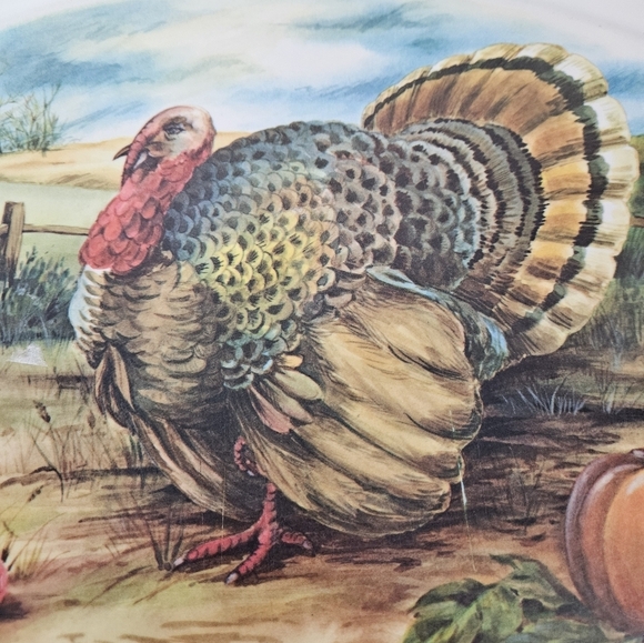 Vintage Brookpark Thanksgiving Melamine Oval Serving Platter Mid-Century Modern‎ - Picture 2 of 8